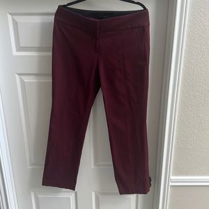 Ann Taylor Loft Julie Straight Pant